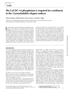 The CeCDC-14 phosphatase is required for cytokinesis in the
