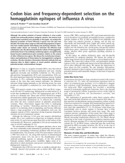 Codon bias and frequency-dependent selection