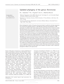 Updated phylogeny of the genus Aeromonas