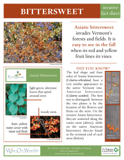 fruit: yellow outer cover with inner red flesh