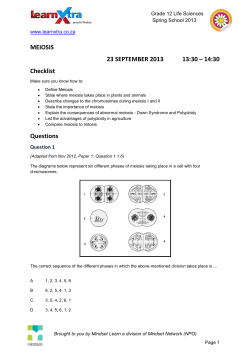 MEIOSIS 23 SEPTEMBER 2013 13:30 &ndash; 14:30