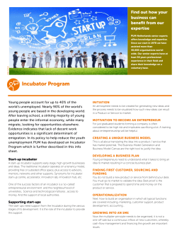 Incubator Program