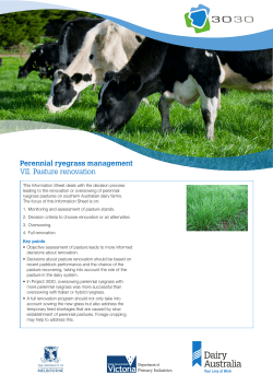 Perennial ryegrass management VII. Pasture