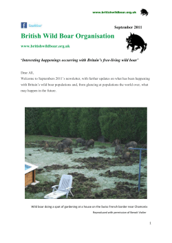 British Wild Boar Organisation