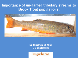 Importance of un-named tributary streams to Brook Trout populations.
