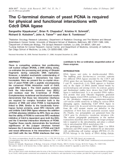 The C-terminal domain of yeast PCNA is required for physical and