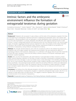 Intrinsic factors and the embryonic environment influence the