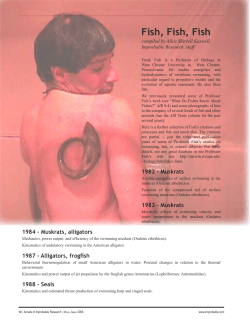 Fish, Fish, Fish - Improbable Research