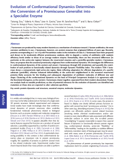 Article Evolution of Conformational Dynamics Determines the