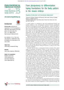 From pluripotency to differentiation