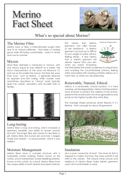 Merino - The Catalogue
