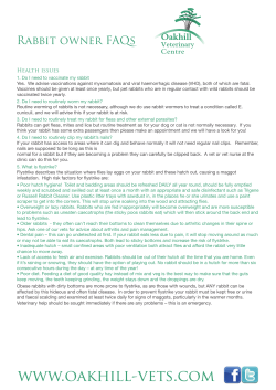 Rabbit owner FAQs - Oakhill Veterinary Centre