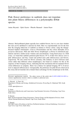 Pink flower preference in sunbirds does not translate into plant