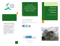 Intestine Transplant Program - the University Health Network