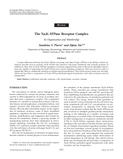 The Na,K-ATPase Receptor Complex