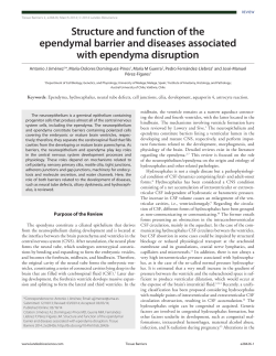 Structure and function of the ependymal barrier and diseases