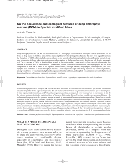 The deep chlorophyll maxima in stratified lakes