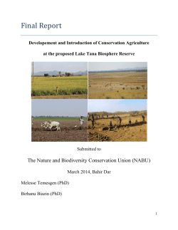 Conservation Agriculture_Assessment