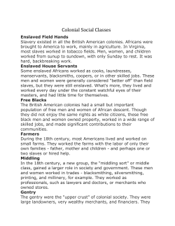 Colonial Social Classes