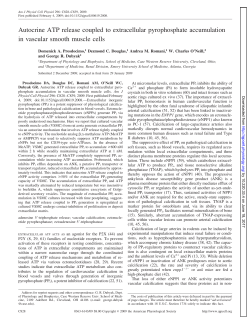 Autocrine ATP release coupled to extracellular pyrophosphate