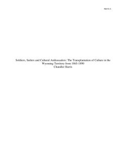 Panel 8: "Soldiers, Sutlers, and Cultural Ambassadors: The