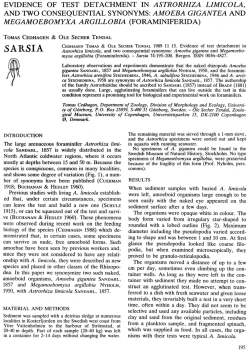 1989 Cedhagen Tendal