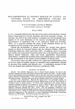 an in-vitro study of l-histidine uptake by isolated intestinal tissue