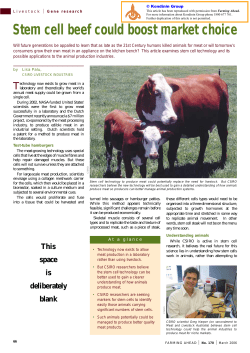 Stem cell beef could boost market choice