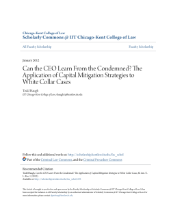 The Application of Capital Mitigation Strategies to White Collar Cases