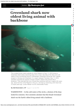 Greenland shark now oldest living animal with backbone