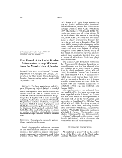 First Record of the Rudist Bivalve Mitrocaprina tschoppi (Palmer