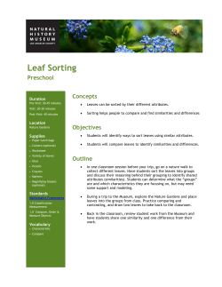 Leaf Sorting