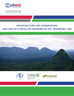 the case of a pucallpa-cruzeiro do sul transport link