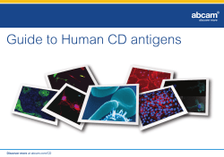 Guide to Human CD antigens