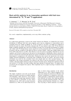 Root activity patterns in an Amazonian agroforest with fruit trees
