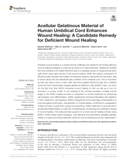 Acellular Gelatinous Material of Human Umbilical Cord Enhances