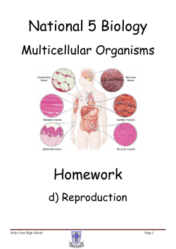 Nat 5 Reproduction - Holy Cross High School
