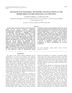 Feeding kinematics in Uromastix - Journal of Experimental Biology