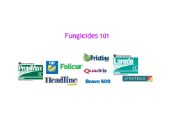 Fungicides 101