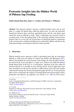 Proteomic Insights into the Hidden World of Phloem Sap Feeding