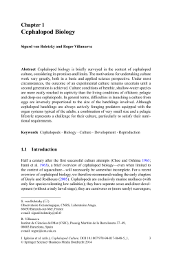 Cephalopod Biology - calocean