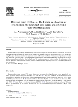 Deriving main rhythms of the human cardiovascular system from the