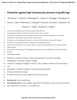 Protection against high intravascular pressure in giraffe legs