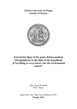 Terrestrial algae of the genus Klebsormidium (Streptophyta) in the