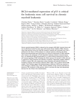 BCL6-mediated repression of p53 is critical for leukemia stem