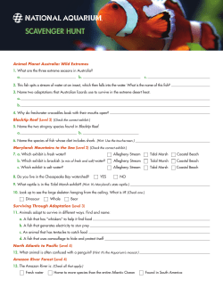 scavenger hunt - National Aquarium