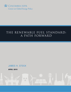 THE RENEWABLE FUEL STANDARD: A PATH FORWARD