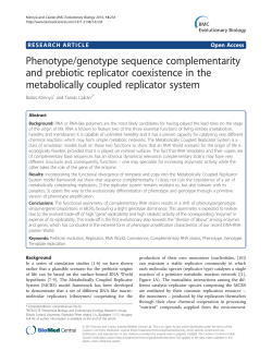 Phenotype/genotype sequence complementarity and prebiotic