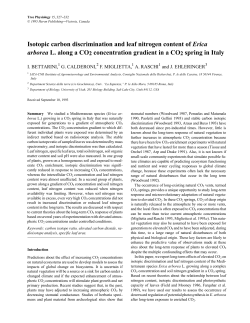 Isotopic carbon discrimination and leaf nitrogen content of Erica