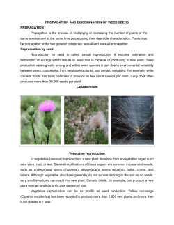 PROPAGATION AND DISSEMINATION OF WEED SEEDS